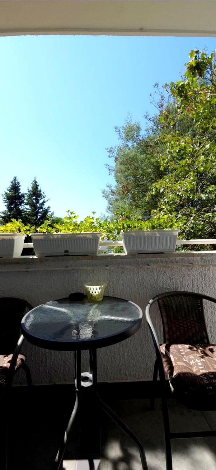 Diana Appartement Poreč Buitenkant foto